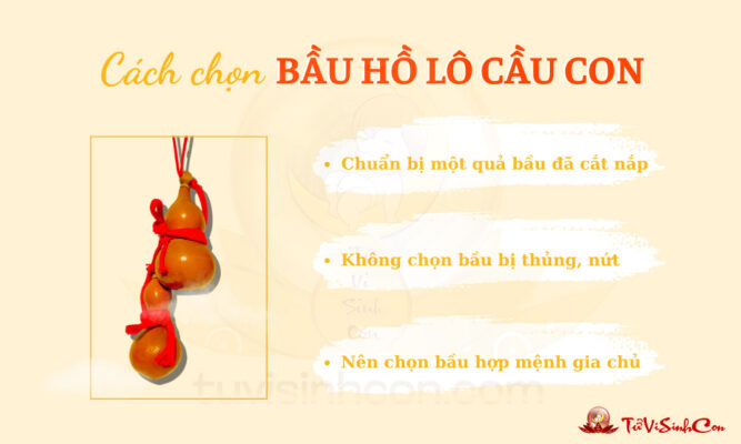 Cách chọn bầu hồ lô cầu con chuẩn