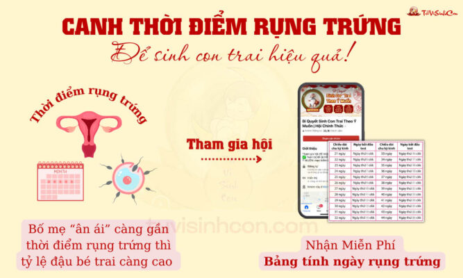 Canh thời điểm rụng trứng để sinh con traia