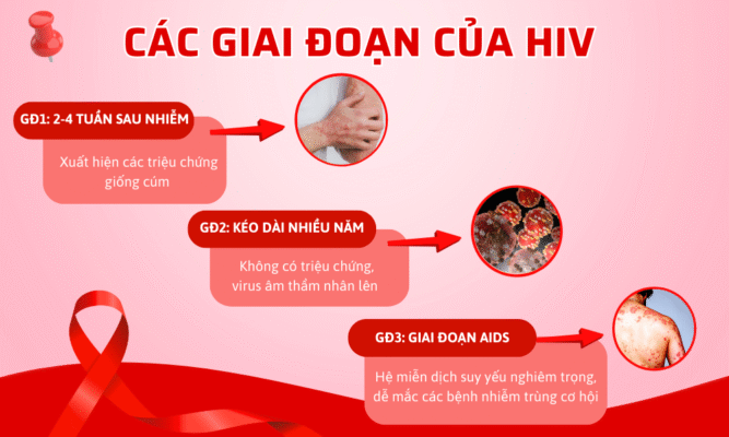 Các giai đoạn của HIV